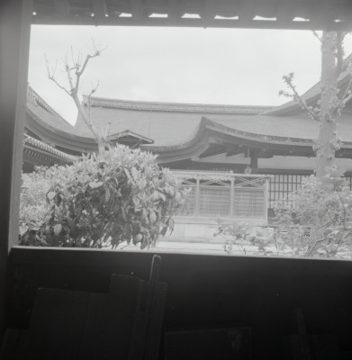knd_05369(京都府京都市南区九条町)