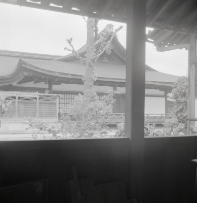 knd_05370(京都府京都市南区九条町)