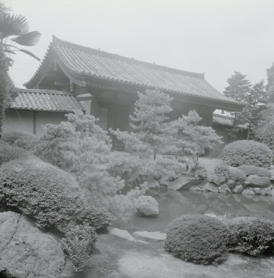 knd_05389(京都府京都市南区九条町)