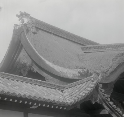 knd_05468(京都府京都市上京区京都御苑)