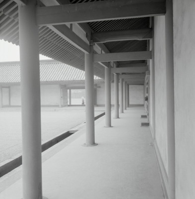knd_05471(京都府京都市上京区京都御苑)