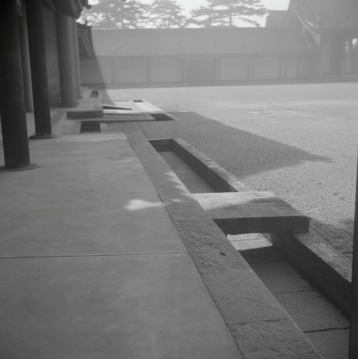 knd_05473(京都府京都市上京区京都御苑)