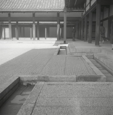 knd_05474(京都府京都市上京区京都御苑)