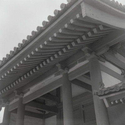 knd_05475(京都府京都市上京区京都御苑)