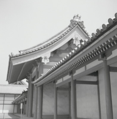 knd_05477(京都府京都市上京区京都御苑)
