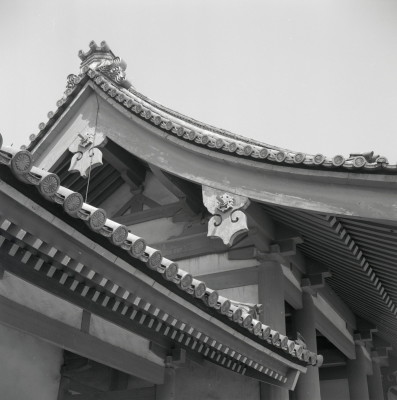 knd_05479(京都府京都市上京区京都御苑)