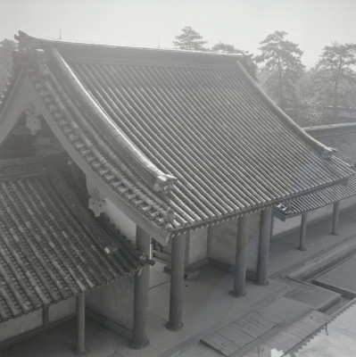 knd_05481(京都府京都市上京区京都御苑)