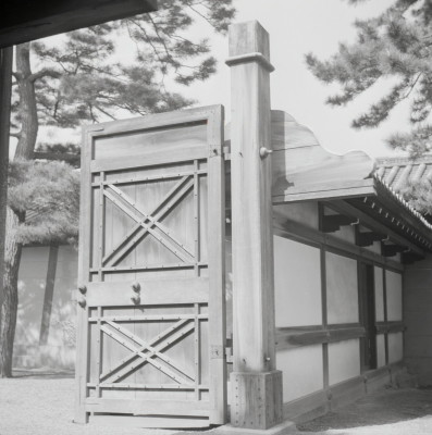 knd_05483(京都府京都市上京区京都御苑)