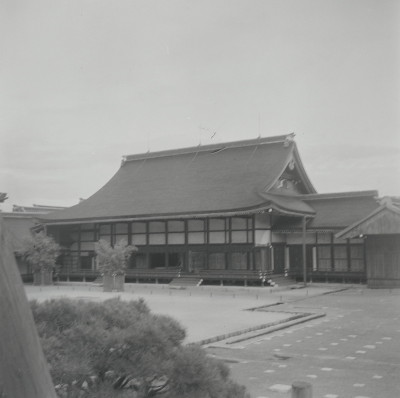 knd_05492(京都府京都市上京区京都御苑)
