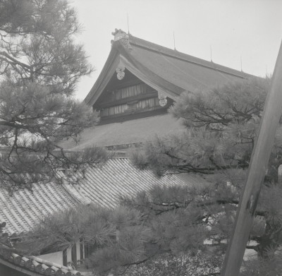 knd_05493(京都府京都市上京区京都御苑)