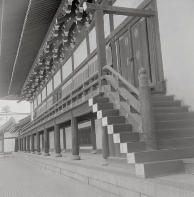 knd_05496(京都府京都市上京区京都御苑)