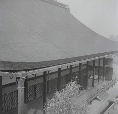 knd_05522(京都府京都市上京区京都御苑)