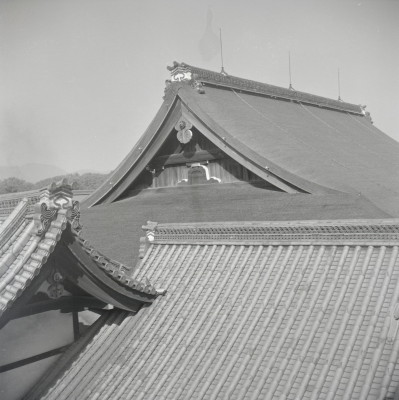 knd_05528(京都府京都市上京区京都御苑)