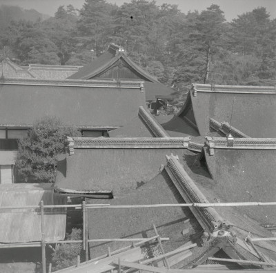 knd_05533(京都府京都市上京区京都御苑)