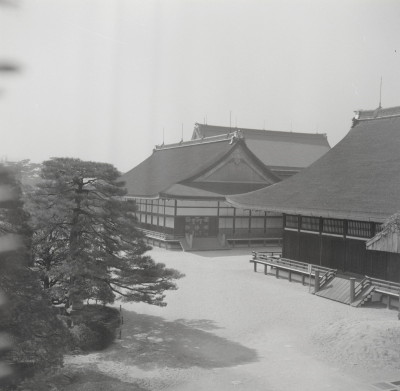 knd_05536(京都府京都市上京区京都御苑)