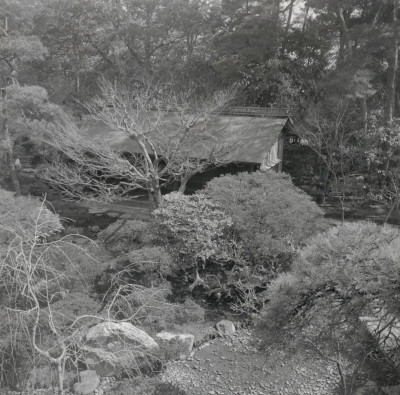 knd_05546(京都府京都市上京区京都御苑)