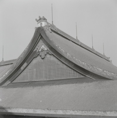 knd_05558(京都府京都市上京区京都御苑)