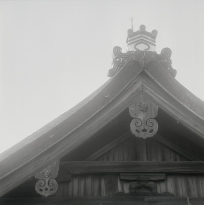 knd_05564(京都府京都市上京区京都御苑)