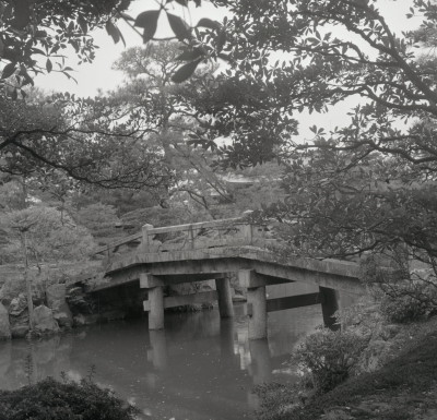 knd_05569(京都府京都市上京区京都御苑)