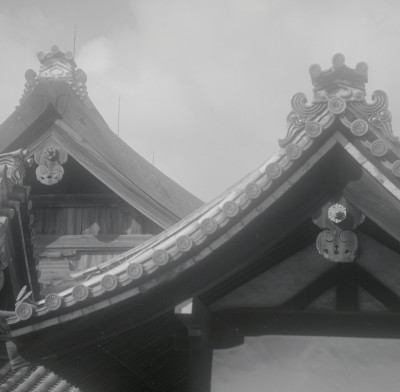 knd_05576(京都府京都市上京区京都御苑)