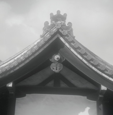 knd_05577(京都府京都市上京区京都御苑)