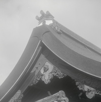 knd_05581(京都府京都市上京区京都御苑)