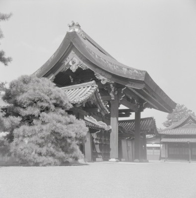 knd_05584(京都府京都市上京区京都御苑)