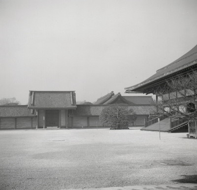 knd_05587(京都府京都市上京区京都御苑)
