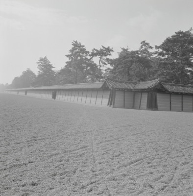 knd_05591(京都府京都市上京区京都御苑)