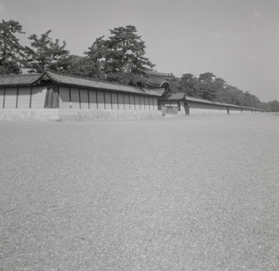 knd_05608(京都府京都市上京区京都御苑)