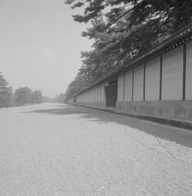 knd_05609(京都府京都市上京区京都御苑)