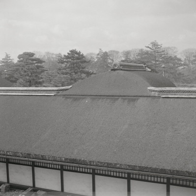 knd_05610(京都府京都市上京区京都御苑)