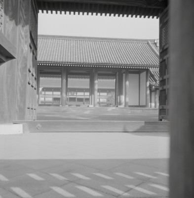 knd_05615(京都府京都市上京区京都御苑)