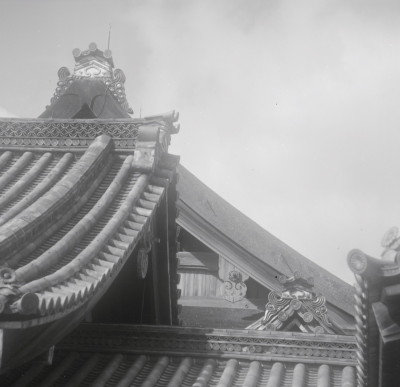 knd_05624(京都府京都市上京区京都御苑)
