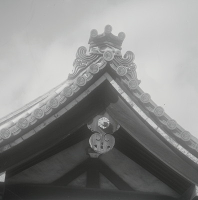 knd_05625(京都府京都市上京区京都御苑)