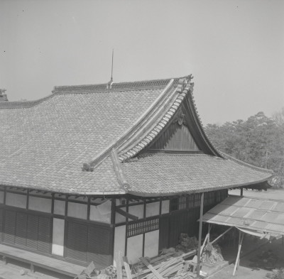 knd_05627(京都府京都市上京区京都御苑)