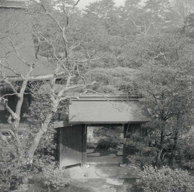 knd_05630(京都府京都市上京区京都御苑)