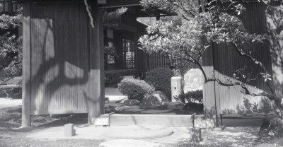 knd_05631(京都府京都市上京区京都御苑)