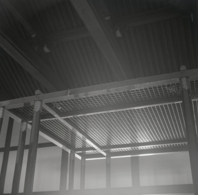 knd_05633(京都府京都市上京区京都御苑)