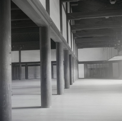 knd_05634(京都府京都市上京区京都御苑)