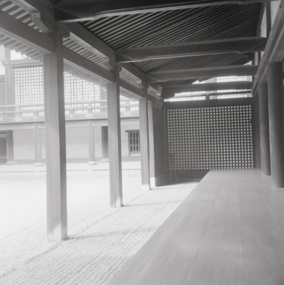 knd_05639(京都府京都市上京区京都御苑)