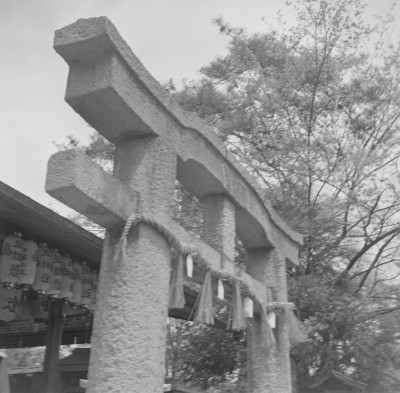 knd_05643(京都府京都市上京区京都御苑)