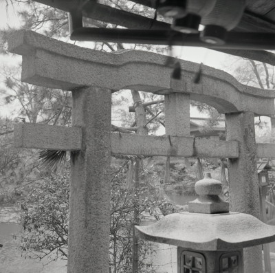 knd_05644(京都府京都市上京区京都御苑)