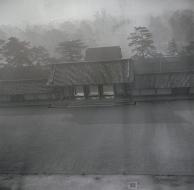 knd_05654(京都府京都市上京区京都御苑)