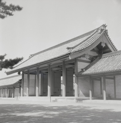 knd_05667(京都府京都市上京区京都御苑)