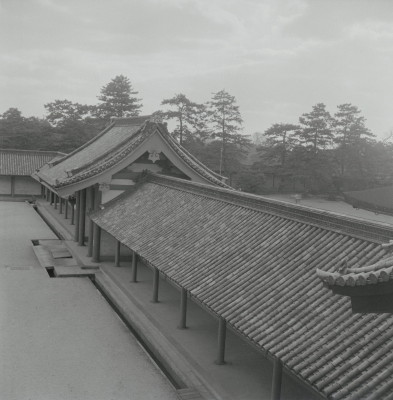 knd_05671(京都府京都市上京区京都御苑)