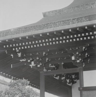 knd_05678(京都府京都市上京区京都御苑)