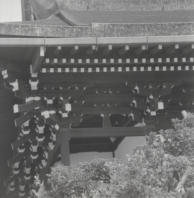 knd_05679(京都府京都市上京区京都御苑)