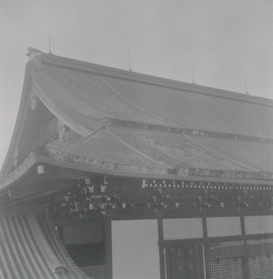 knd_05681(京都府京都市上京区京都御苑)