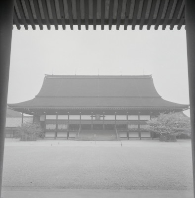 knd_05686(京都府京都市上京区京都御苑)
